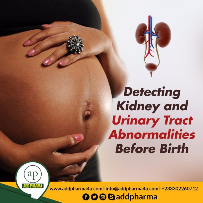 Detecting Kidney and Urinary Tract Abnormalities Before Birth