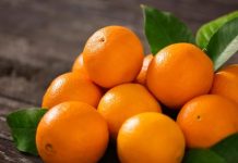 Oranges (Nutrition Facts and Health Benefits)